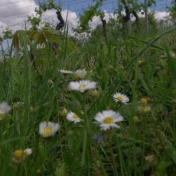 Bild der Dankstelle Weingut Clauer de Chant
