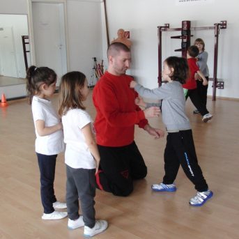 Bild oder Logo der Dankstelle WingTsun Akademie Heidelberg