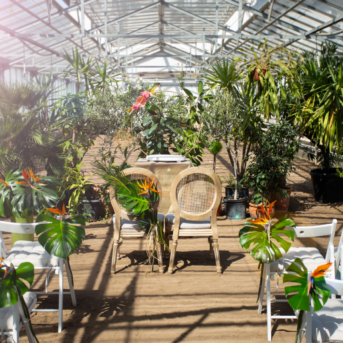 Bild der Dankstelle Celebrate Life Event Planning