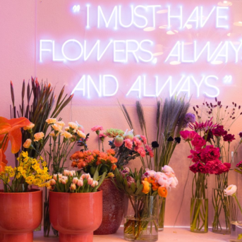 Bild oder Logo der Dankstelle Blume sucht Vase