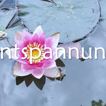 Bild der Dankstelle Gesundheitsweg Yoga, Pilates & Entspannung
