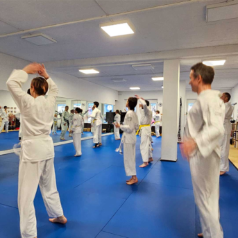 Bild der Dankstelle Taekwon-Do Center Heidelberg