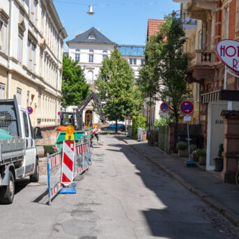 Logo der Dankstelle Begrünung Seitenstraßen Bergheimer Straße