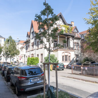 Bild der Dankstelle Begrünung Seitenstraßen Bergheimer Straße