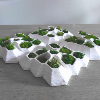 Bild der Dankstelle Sponge Building Project (SBP)