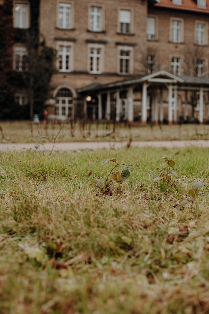 Bild des Projekts Klimawandelgarten Bergheim