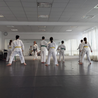 Bild oder Logo der Dankstelle Uiji-Do Traditionelles Taekwondo