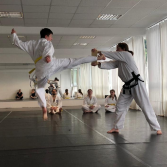 Bild oder Logo der Dankstelle Uiji-Do Traditionelles Taekwondo