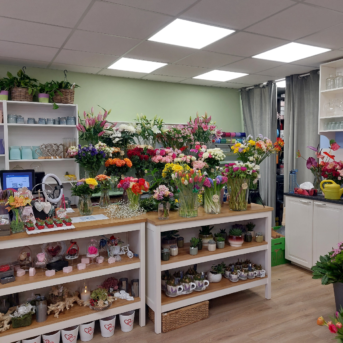 Bild oder Logo der Dankstelle Blumenfee Florentina GmbH