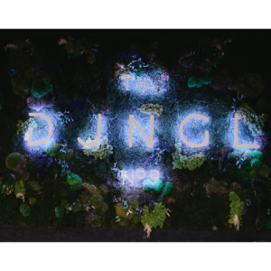 Logo der Dankstelle The DJNGL