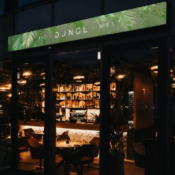 Bild oder Logo der Dankstelle The DJNGL