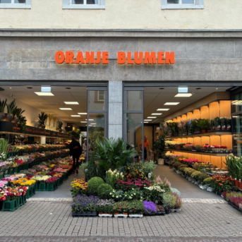 Bild oder Logo der Dankstelle Oranje Blumen P.F. Overdevest