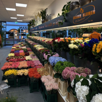 Bild oder Logo der Dankstelle Oranje Blumen P.F. Overdevest