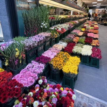 Bild der Dankstelle Oranje Blumen P.F. Overdevest