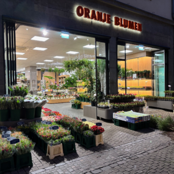 Bild der Dankstelle Oranje Blumen P.F. Overdevest