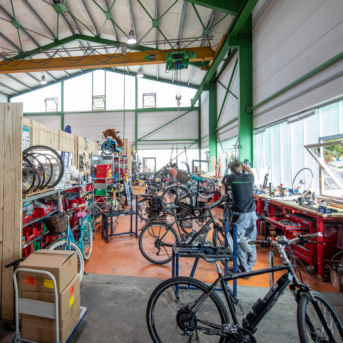 Bild oder Logo der Dankstelle EBike Solutions